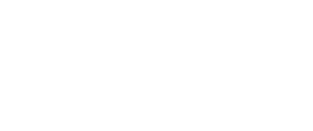 Nexus Bridge